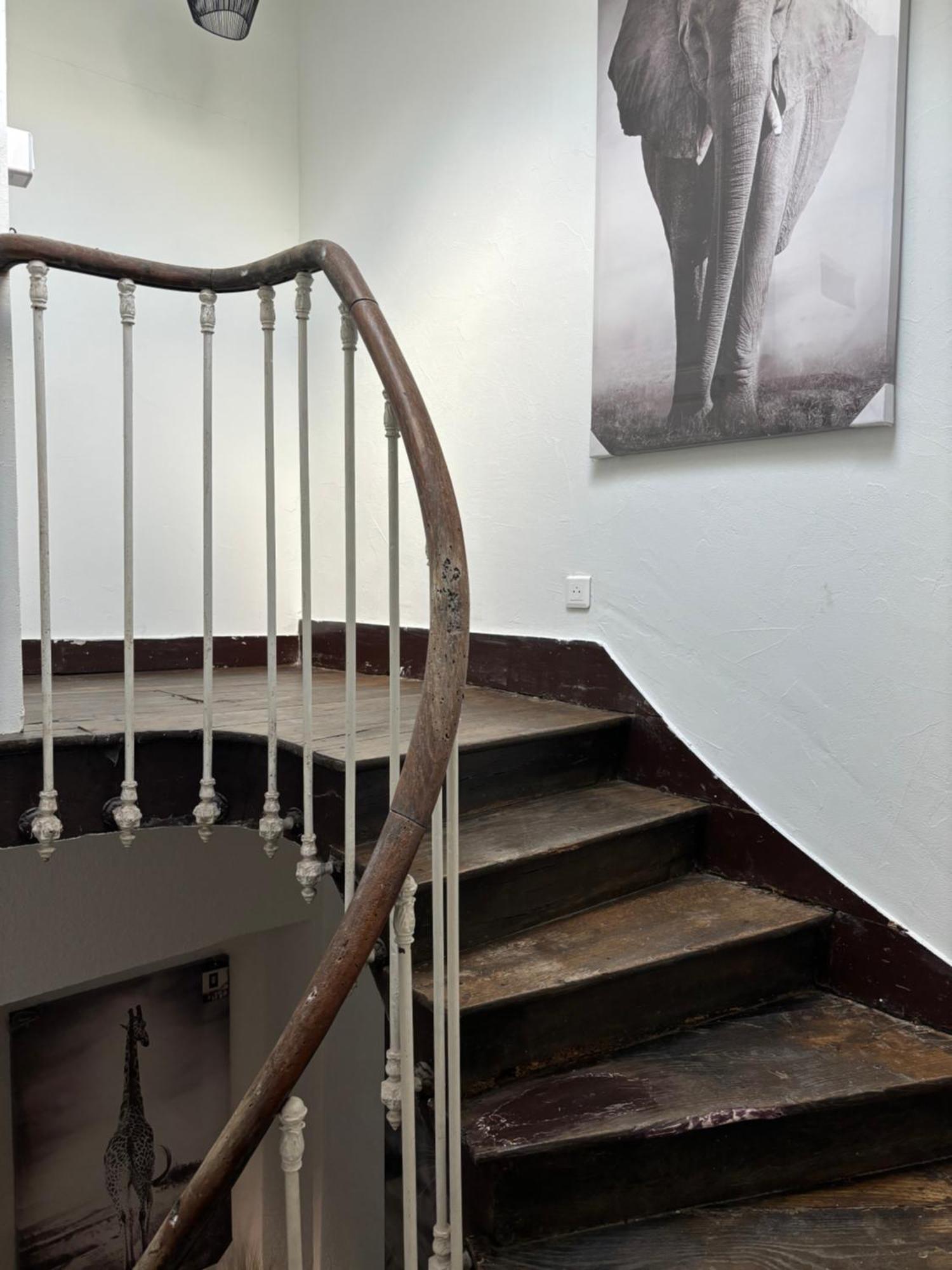 Apartmán Le Duplex Safari Saint-Aignan  Exteriér fotografie